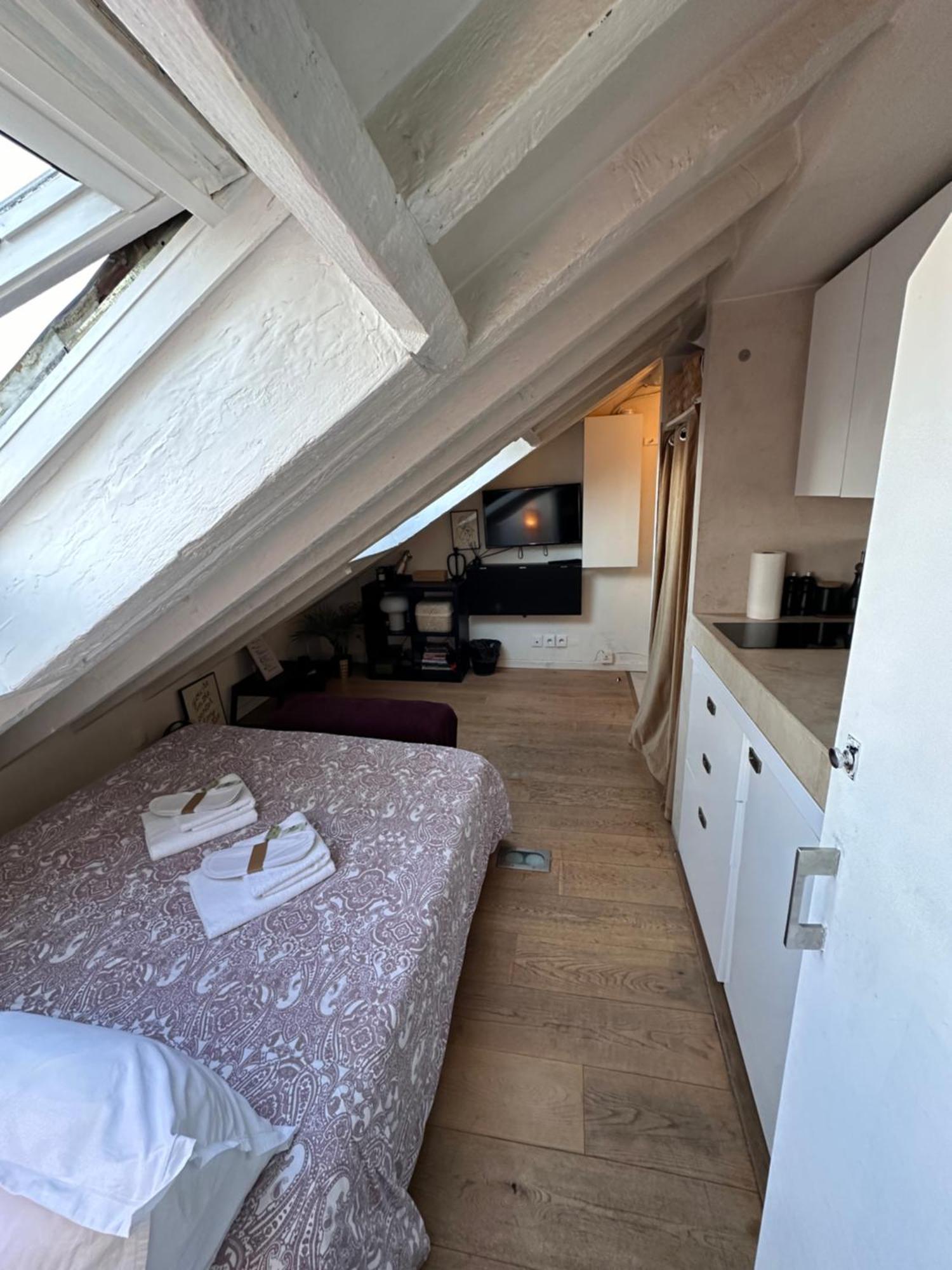 Marais Rooftop Studio - Metro Filles Du Calvaire Paris Exterior foto